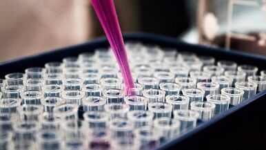 How to do tests for detecting parasites in the body